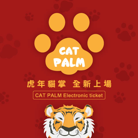 CAT PALM 貓掌