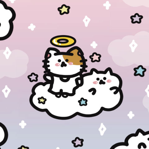 渣男熊